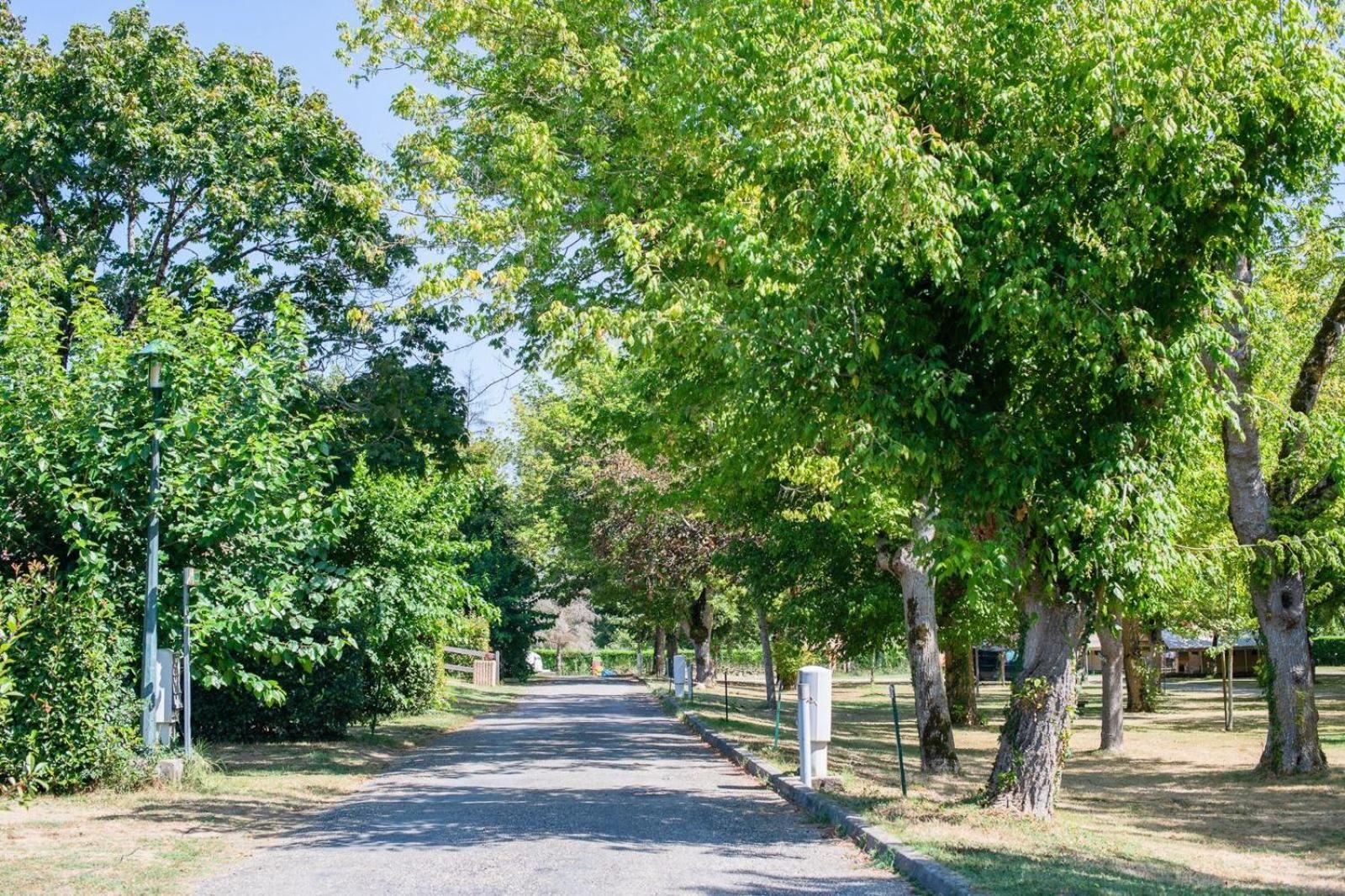 Camping Onlycamp L'Argente 콩돔 외부 사진